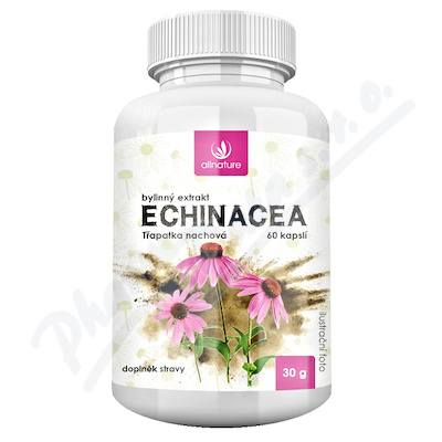 Allnature Echinacea bylinný extrakt cps.60