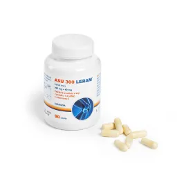 ASU 300 LERAM 90 tobolek