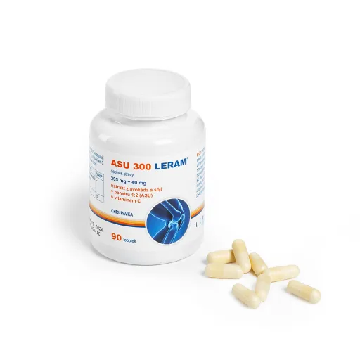 ASU 300 LERAM 90 tobolek