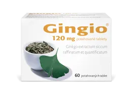 Gingio 120mg tbl.flm.60x120mg