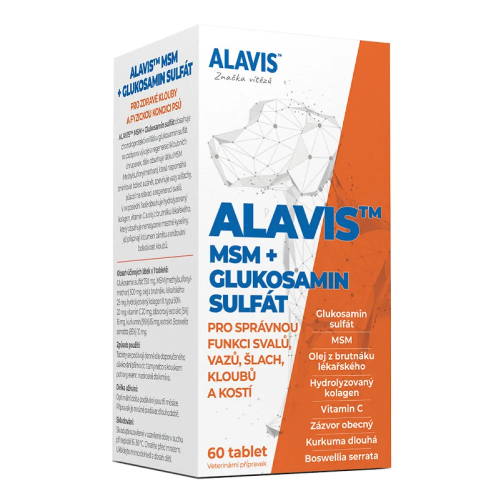 ALAVIS MSM+Glukosamin sulfát tbl.60