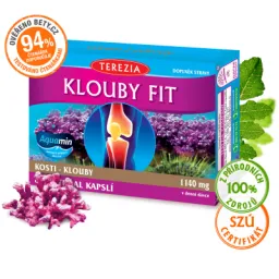 TEREZIA KLOUBY FIT 60 kapslí
