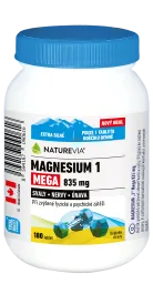 MAGNESIUM 1 MEGA 835MG