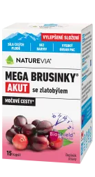 MEGA BRUSINKY AKUT