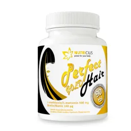 Perfect HAIR gold methion.500mg+biotin100ug tbl.90