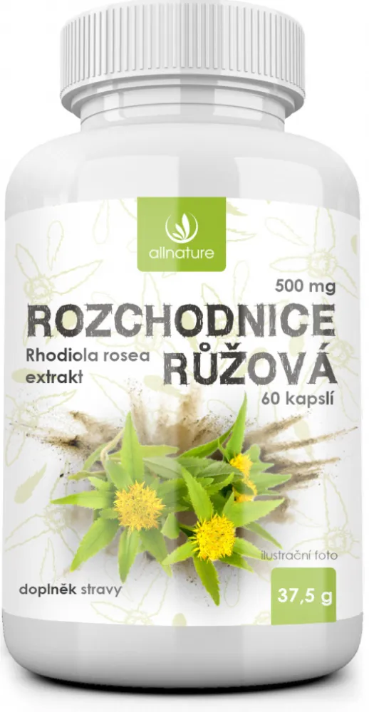 Allnature Rozchodnice Rhodiola Rosea 500mg cps.60