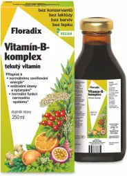 Salus Floradix Vitamin-B-komplex 250ml