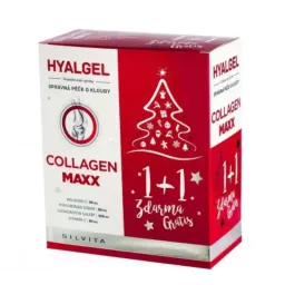 Hyalgel Collagen MAXX vánoční balení 2x500ml