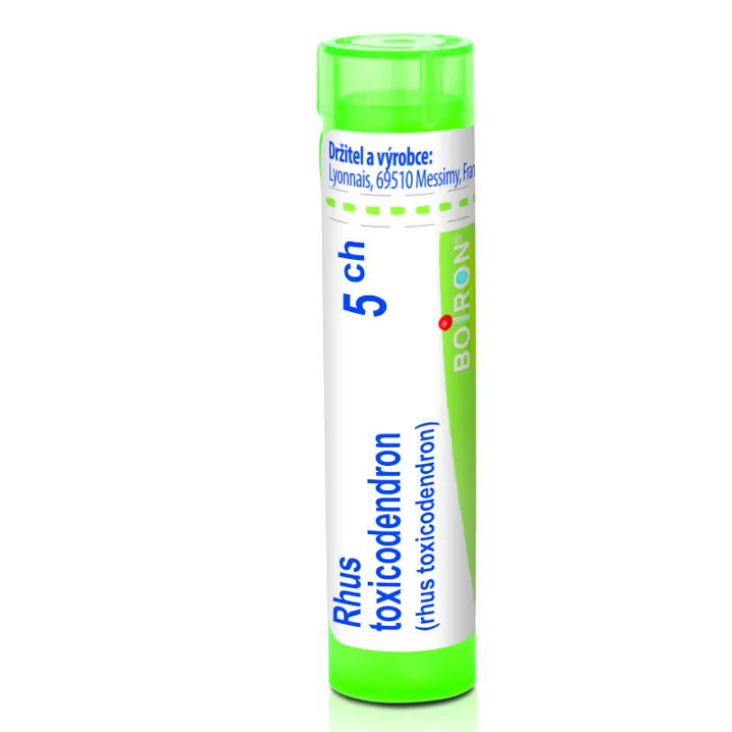 Rhus Toxicodendron 5CH gra.4g