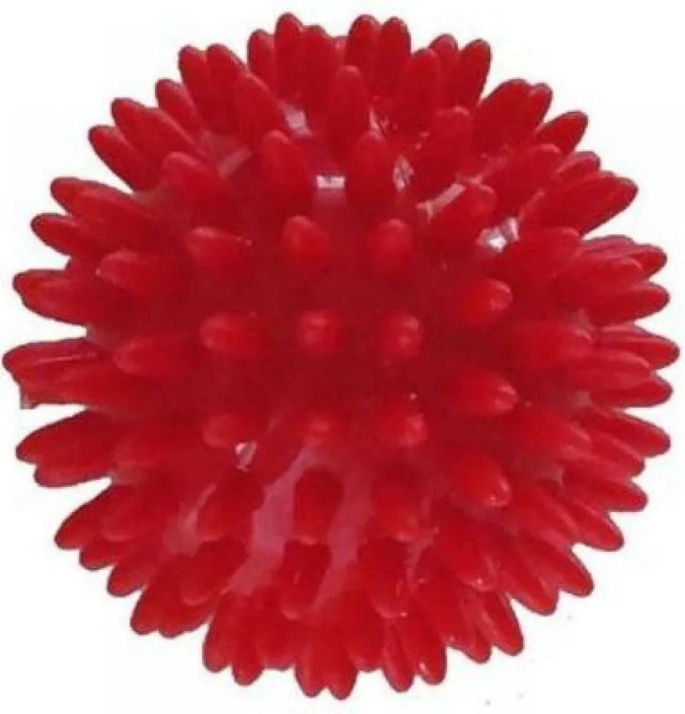 Míč masážní ježek pr.6cm