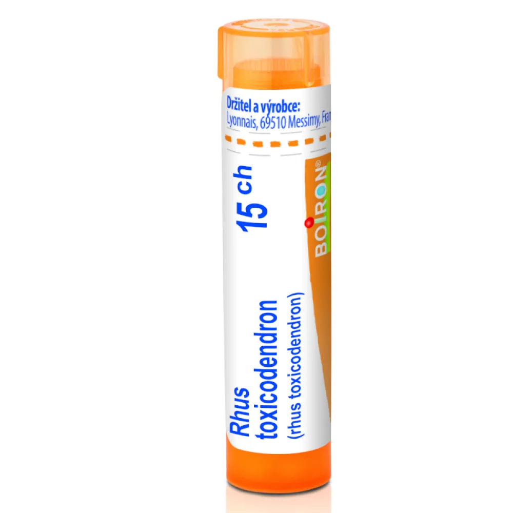 Rhus Toxicodendron 15CH gra.4g