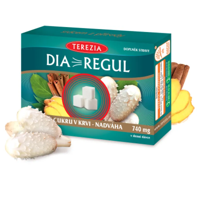 TEREZIA Diaregul 60 kapslí