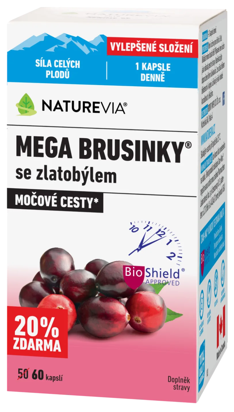 MEGA BRUSINKY