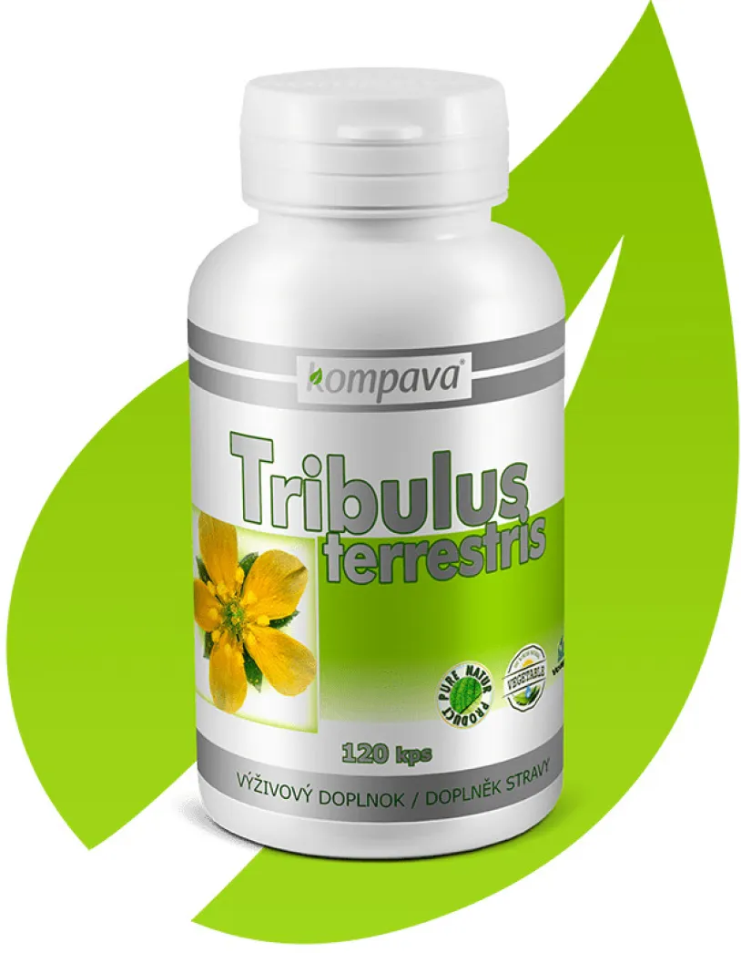 Tribulus terrestris 400mg cps.120
