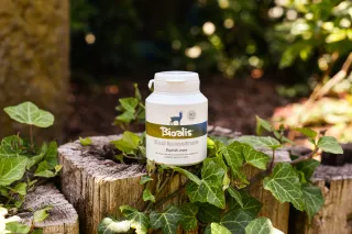 BIOALIS kozí kolostrum cps.90