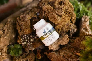 BIOALIS kozí kolostrum cps.90