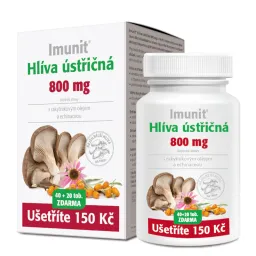 Hlíva ústř.800mg s rakyt. a echi. Imunit 40+20tob