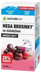 MEGA BRUSINKY