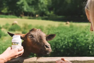BIOALIS Kozí kolostrum pro děti 3+ cps.140