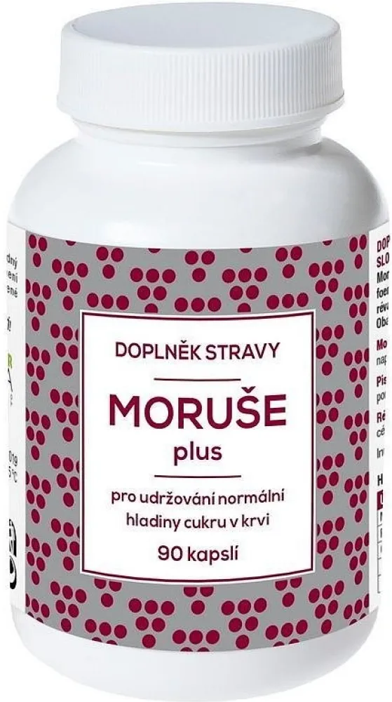 NATURVITA Moruše Plus 90 kapslí