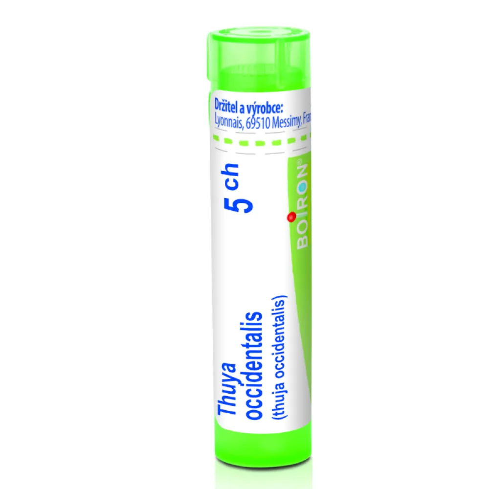 Thuya Occidentalis 5CH gra.4g