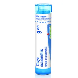 Thuya Occidentalis 9CH gra.4g