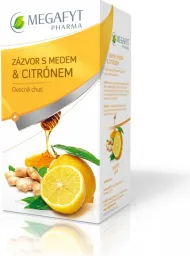 Megafyt Ovocný Zázvor s medem a citrónem 20x2g