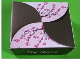 Přír. kosm. mýdlo orig.DÁMSKÉ argan.pupal.ol. 120g