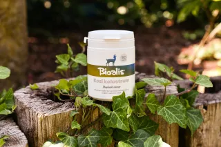 BIOALIS Kozí kolostrum cps.180